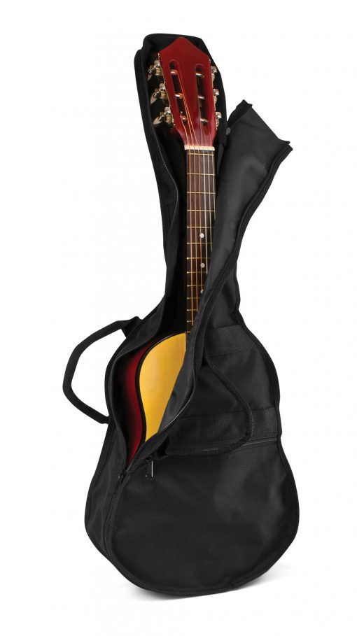 Acoustic Guitar in Case